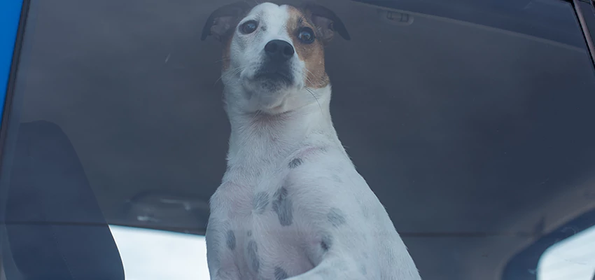 Car Lockout Solutions in Hacienda Heights, California